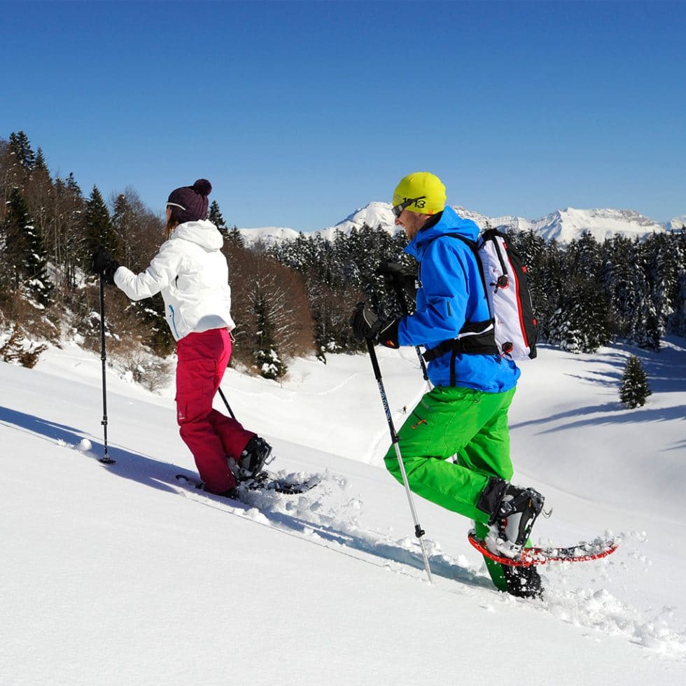 consells-de-seguretat-raquetes-de-neu-snowlockers